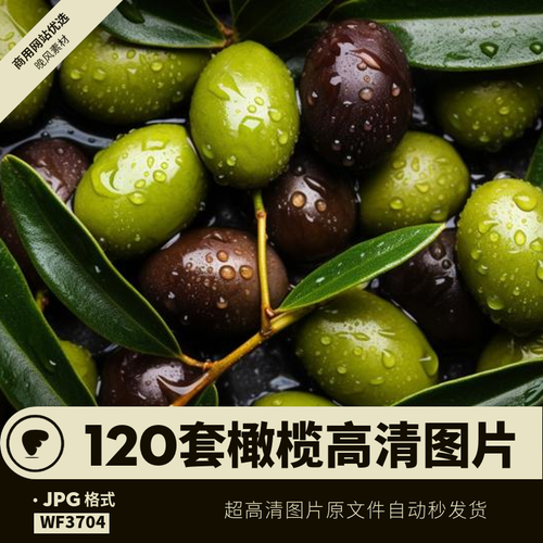 橄榄超高清图片树木果子油实拍海报宣传产品背景jpg平面设计素材
